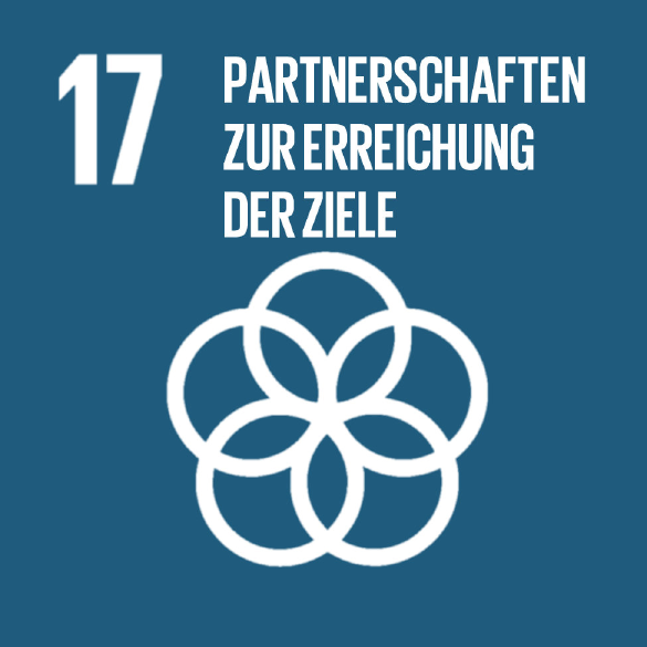 SDG 17